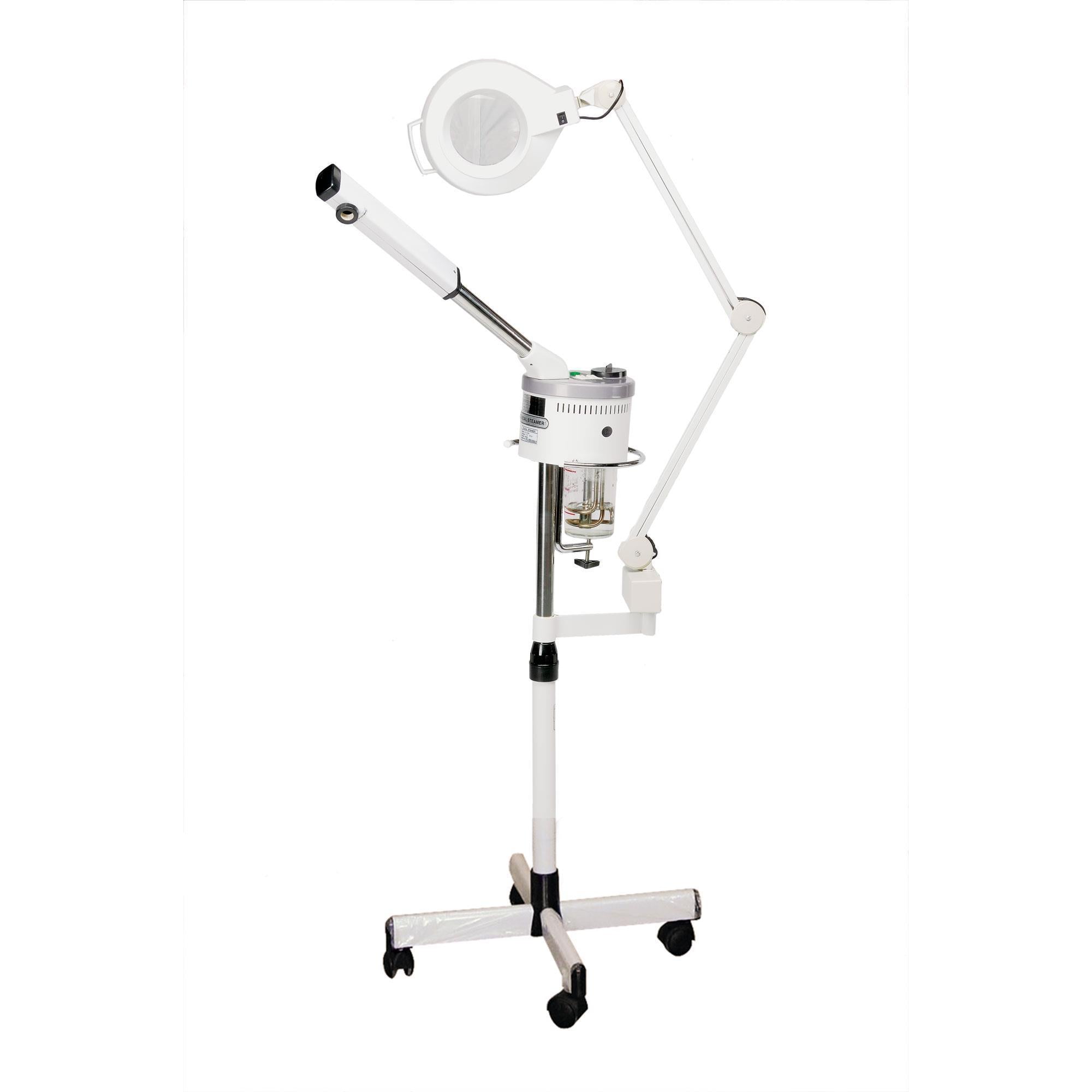 2-in-1 Steamer & Mag Lamp